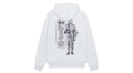 Stussy Well Suited Zip Hoodie Ash Heather