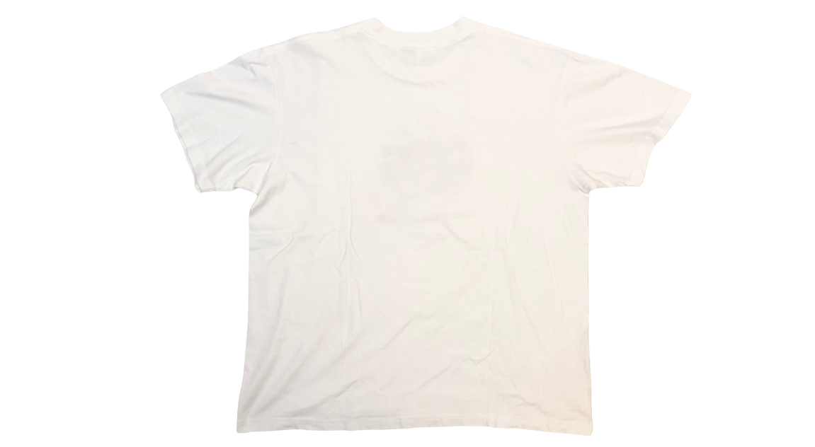 Supreme The North Face One World Tee White (SS20) (P)